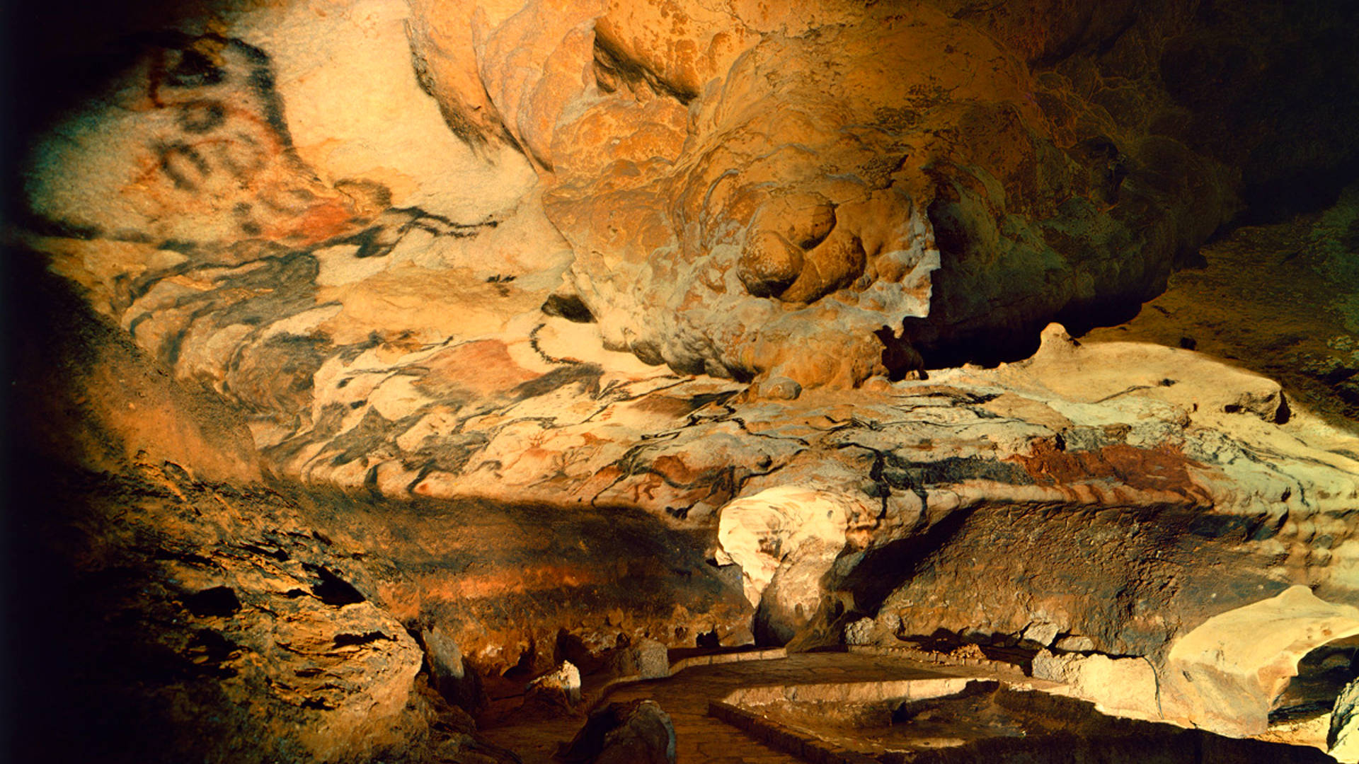 Ancient cave. Пещера Альтамира. Пещера Ласко зал Быков. Пещера Ласко кошачий зал. Пещера Ласко во Франции.